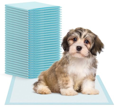 60x ARNOMED® Welpen Unterlagen 60x40cm, Saugstarke PIPI Matten Hunde | Puppy & Dog Pads, Trainigspad 5-lagig, Inkontinenzunterlagen Hund & Welpen, Hundeunterlagen Pipi, Matten Auslaufsicher