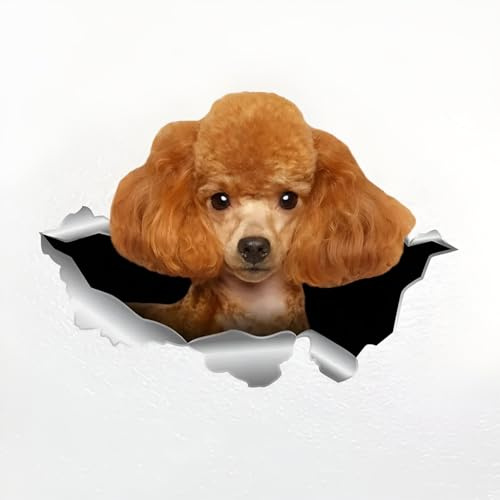 Autoaufkleber Pudel Aufkleber 15cm(5.9 Inch) Poodle Car Sticker 3D Zerrissen Autoaufkleber Wasserdichte Haustier Hund Reflektierende Aufkleber Pudel Lustig Sticker Dekor