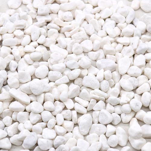 Premium Pebbles Pietre per piante Ciottoli decorativi bianchi da 1,3 a 2,5 cm 8,2 kg per giardino, paesaggistica, interni, riempitivi per vasi, artigianato, piante grasse, vasi, piante
