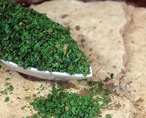 Naturix24 – korianderblad härdade – 500 g påse
