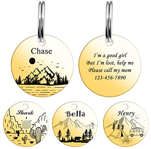 HooAMI Hundemarke mit Gravur,Runden Hundemarke Personalisiert Dog Tag mit Gravur Namensschilder Adressanhänger Hund für Hunde und Katzen(Gold,L)