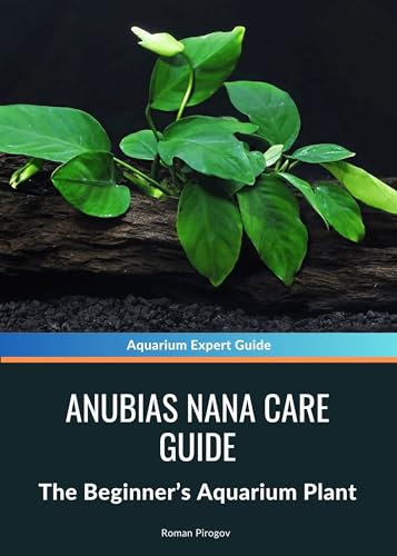 Anubias Nana Care Guide: The Beginner’s Aquarium Plant