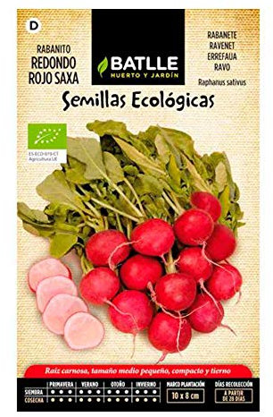 Portal Cool Semi Bio Batlle - Radicchio Rosso Tondo Saxa (5G)