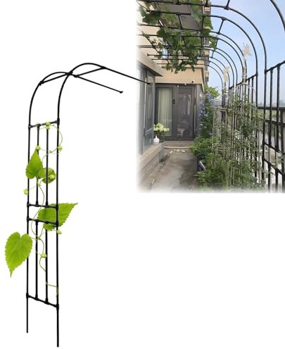 LIYI929GP Halbrosenbogen Metall Spalier Wandbogen Gartenzubehör, Gartenbogen Spalier PE -Oberfläche Für Gartendekoration Hochzeitsbogen Extérieure Mariage Feierliche Dekoration, Leicht Zu Klettern