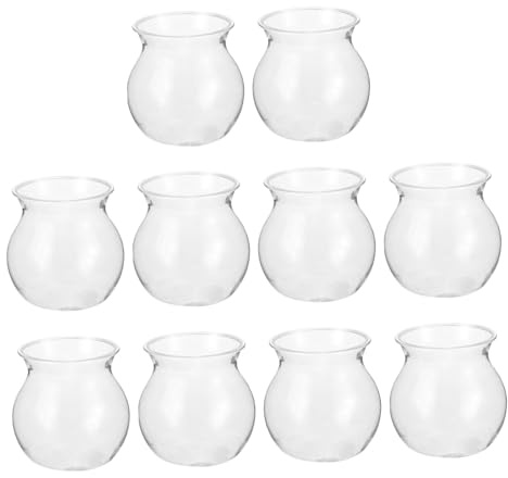 ibasenice 10 Piezas Vasijas Ecológicas Transparentes para Plantas Suculentas para Decoración de Escritorio para Micro y Interiores