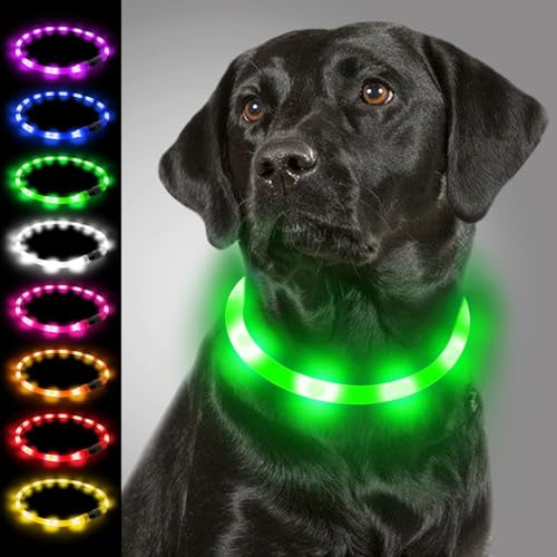 Joytale Leuchthalsband Hund, Blinkend LED Silikon Zuschneidbar, Grün | Weich & Hautfreundlich, 360°-Rundumsicht bei Dunkelheit, USB-C Aufladbar, 3 Modi, Regendicht, von Chihuahua bis Labrador