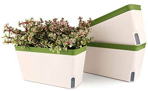 T4u Maceta autorriego Rectangular 27 cm, Verde, Set 3, maceteros Decorativos Interior, Plantas pequeñas hogar Oficina, Ideal para Principiantes, no Apto Plantas Grandes sensibles Humedad