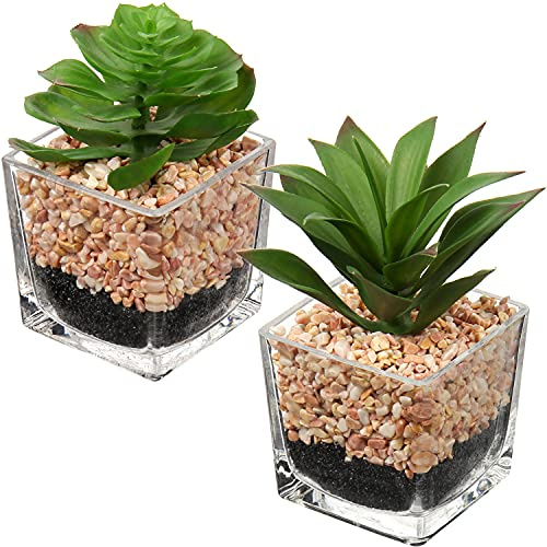 Briful Set of 2 Small Artificial Succulent Plants in Pots, Fake Succulents in Square Glass Pots Decorative Artificial Plants Indoor for Office Coffee Table Home Decor