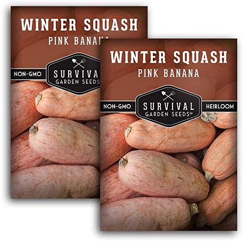 Survival Garden Seeds - Pink Banana Winter Squash Seed for Planting - 2 Packs with Instructions to Grow Winter Vegetables in Your Home Vegetable Garden - Non-GMO Heirloom Variety