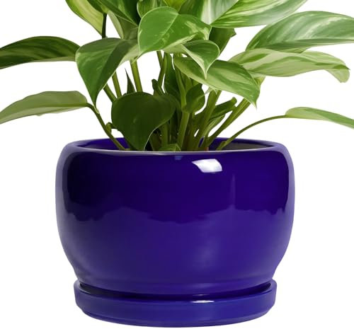 SQOWL Blumentopf aus Keramik, 20,3 cm, für Zimmerpflanzen, Outdoor, Keramik-Blumentopf mit Ablaufloch und Untersetzer, moderner runder Übertopf, Badezimmer-Dekor, Geschenke für Pflanzenliebhaber, Blau