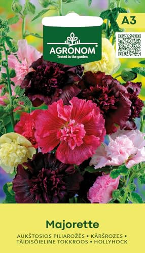 AGRONOM | Stockrose - MAJORETTE samen | Blumensamen | Pflanze samen | Zweijährige Pflanzen, bis zu 80 cm hoch mit kräftigen, aufrechten Stängeln und großen Blüten | Gartensamen | 1 Pack