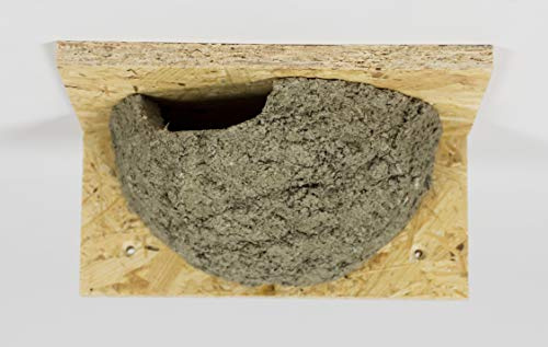 Mehlschwalbennest mit Einflug Links, Schwalbennest, Nistkasten, Nisthilfe, Mehlschwalbennester