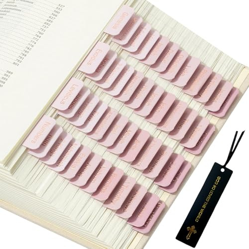 Registro biblico per donne, studio, bibbia, journaling, accessori, 90 schede laminate, vecchio e nuovo testamento, con cavalieri vuoti, istruzioni di allineamento, segnalibri, rosa, goffratura