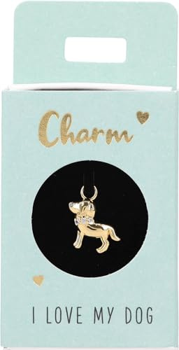 Depesche 11834-049 Charm Hund, vergoldeter Anhänger für Halsketten, Armband und Ohrringe, ideal als kleines Geschenk