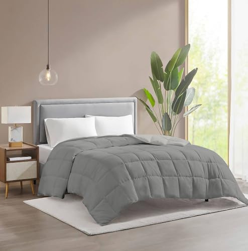 IlGruppone Piumino invernale caldo piumone 3 misure double face microfibra anallergico - Bordeaux/Panna - 1 Piazza (2 Piazze, Titanio/Grigio)