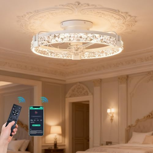 Modern Smart LED Ceiling Fan Light，50cm Ceiling Fans with Lights and Remote, 6 Speeds and 3000K-6500K Dimmable Quiet Fan Ceiling Lights for Bedroom Living Room Dining Room
