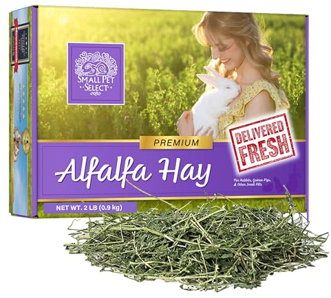 Small Pet Select Alfalfa Hay Pet Food for Young Rabbits, Guinea Pigs, Chinchillas, Tortoises and Other Small Animals, Easy to Store Box, 0.91kg (2lb)