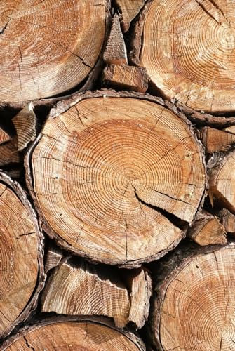 Magnettafel Pinnwand XXL Bild Holzoptik Holzscheiben Holz Größe 40 x 60 cm