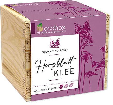 ecobox, Herzblattklee, Pflanzen Aus Der Holzbox 11x11x10cm, Made in Austria, Nachhaltige Geschenkidee, Grow Your Own/Anzuchtset