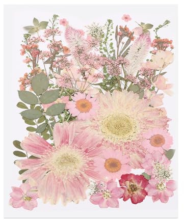PATIKIL 50 Unidades de Hojas y Flores prensadas secas a Granel, Flores Naturales secas para Manualidades Florales en Resina, Arte, Scrapbooking, joyería, decoración de uñas, Hada Rosa