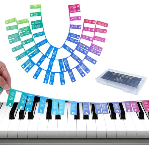 Piano Keyboard Stickers with Box, Removable Piano Stickers, Washable Beginners Piano Notes Overlay Strips, Reusable Silicone Strips, 88-Key Full Size Keyboard Note Labels No Need Stickers (Rainbow)
