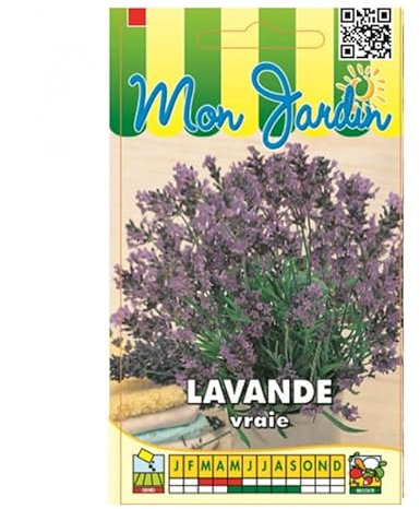Sachet de graines de Lavande Officinale, Lavande Vraie - 1 g - fleur vivace - LES GRAINES BOCQUET