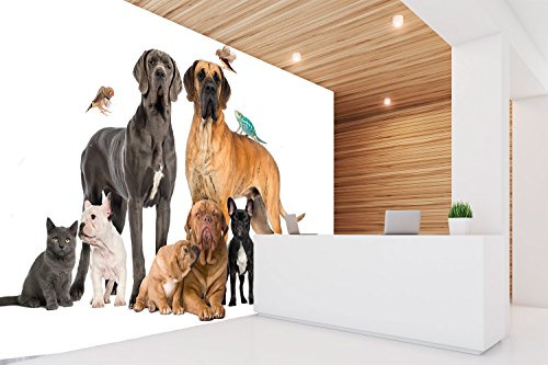 Oedim Fotomural Vinilo Pared Perros Razas | Fotomural Paredes | Mural | Vinilo Decorativo | Varias Medidas 200 x 150 cm | Veterinarios | Decoración comedores, Salones, Habitaciones...