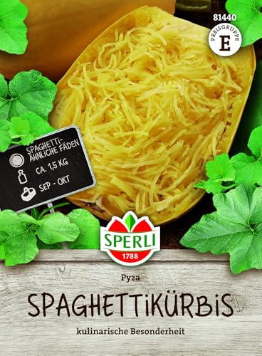 Sperli Spaghettikürbissamen Pyza 81440, Gemüsesaat | Für Freiland und Hochbeet