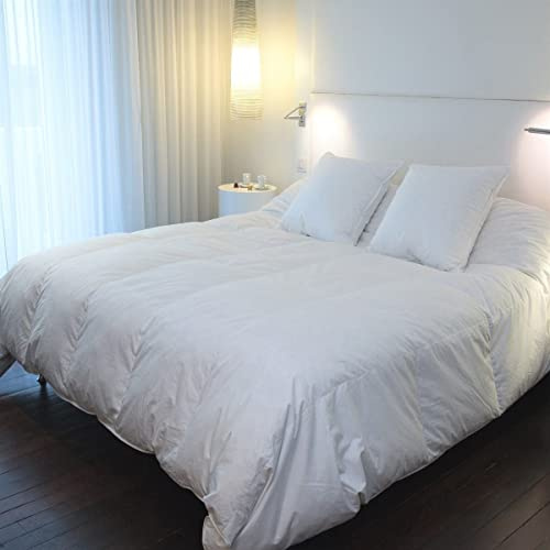 CASTEX - Couette Chaude Plume-Duvet 160x200