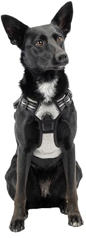 Ferplast Pettorina Cane Taglia Media, 2 Ganci per Massimo Controllo, Anti Tiro, Pettorina Cane Regolabile, Riflettente, Traspirante, Imbracatura Cani ideale per Addestramento M, Grigia