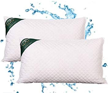 Evergreenweb - Lot de 2 Coussins de 15 cm de Hauteur, lavables en Machine, 2 oreillers, canapés, ameublement, Maison ou extérieur, avec Rembourrage Flocon, Super Doux, Effet Plume d'oie 40 x 70 cm
