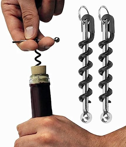 LIYJTK 2 Pack Key Ring Corkscrew, Corkscrew Wine Opener Stainless Steel Corkscrew Manual Corkscrews Mini Keychain Corkscrew for Bartenders Barmans Waiters