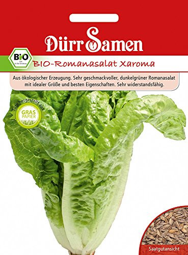 Dürr Samen 4411 Römersalat Xaroma (Bio-Römersalatsamen)