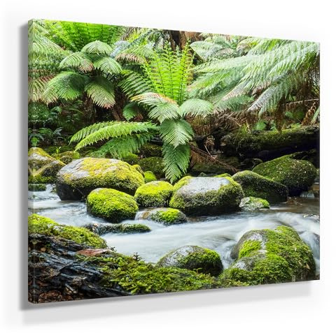 BilderKing Wunderschöne Wald Bilder auf Leinwand. Fotomotiv – Waldbach - als 50x50cm großes Wandbild. Fertig aufgespannt auf Holzrahmen. Eine tolle Deko für Wohnzimmer & Schlafzimmer