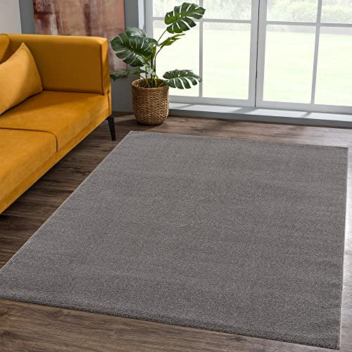 SANAT Kurzflor Teppich Wohnzimmer - Uni Modern Teppiche fürs Schlafzimmer, Arbeitszimmer, Büro, Flur, Kinderzimmer und Küche - Grau, 80 x 150 cm