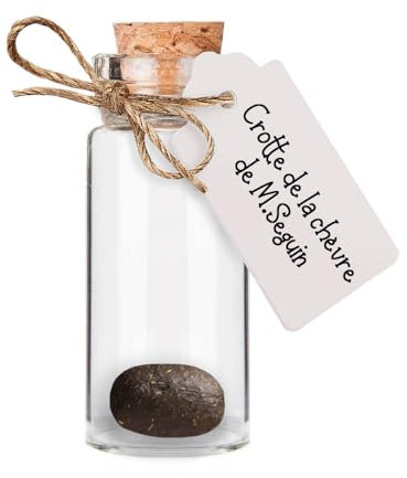 Crotte de la chèvre de Monsieur Seguin - Cabinet de curiosités, insolite, étrange - Objet parodique, humoristique