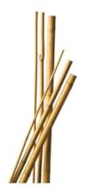 Lot de 10 Tuteurs Bambou 60 cm diam 6-8 mm