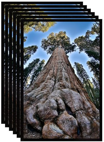 YYTRABAJO 11x17 Picture Frame Black Photo Frames Display for Wall, Set of 6