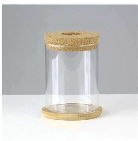 Terrarien für Blumenkübel Mini Hydrokultur Blumentopf Glas Pflanze Vase Transparent Terrarium Glas Tabletop Pflanzen Töpfe Flaschengarten