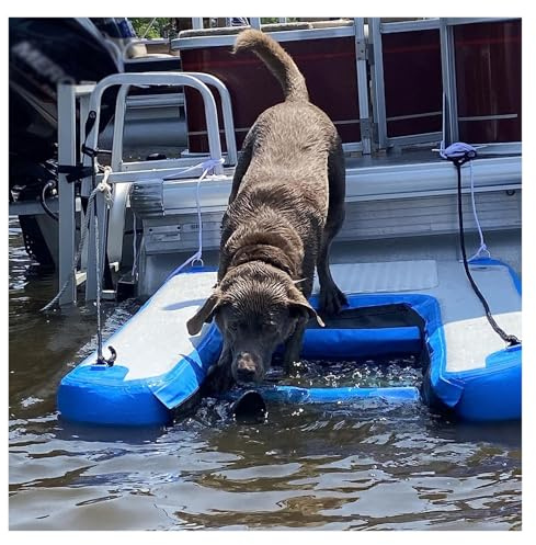 XNZJHPP Échelle de Bateau Flottante pour Chiens, Rampe d'eau pour Chiens en PVC Haute visibilité pour Piscine, Plate-Forme de Quai Gonflable pour Animaux de Compagnie étanche (One Color 2pcs)