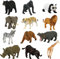 Fun Gift Toddler Zoo Animals Games Toys for Kids, 8 Piece Plastic Animal Figures, Realistic Toy Set for Include Lion, Elephant, Tiger, Perfect for Education, Gifts for kids 3+ Years Boys Girl