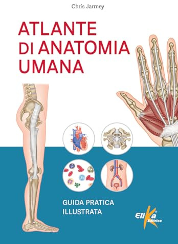 Atlante di anatomia umana. Guida pratica illustrata. Ediz. a colori