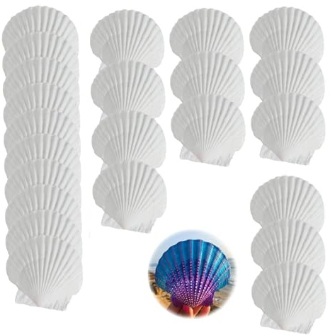 DINGFENG Mariage 25 5 7 Coquillages Saint Jacques Naturels Blancs Cm DIY | Coquillage Decoration Coquilles pour Peinture Arts Mobile Feng Shui Décoration Bord de Mer
