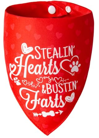 ICEMOOD Wende-Bandana für Hunde zum Valentinstag – 2-in-1 Kostüm-Halstuch mit niedlichen Schriftzügen & Herz-Muster, 1er-Pack mit Druckknopf, für mittelgroße & große Hunde (ca. 13–34 kg)