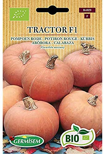 Germisem Kürbis TRACTOR