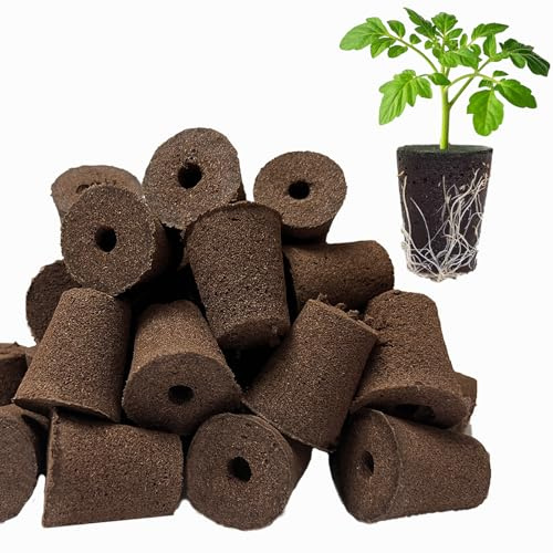 TEZKOLES 50 Pack Round hydroponic Growth Sponge, Suitable for Indoor and Outdoor hydroponic Gardens, Seed Germination, Plant Rooting, Vegetable Cultivation, Flower Arrangement
