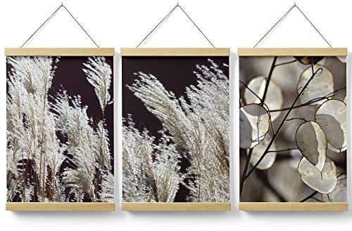 Feeby Posterleiste Set 3 Bilder Pampasgras Boho 40x60 cm Magnet Halter Leisten Posterhänger Wohnzimmer Bild Bilder Bilderleiste Bilderrahmen aus Echtholz Teakholz Palmen Blätter Pflanzen Grau