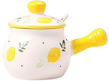 QXSJEDYCH Zuccheriera, contenitore for condimenti, zuccheriera con motivo a frutta disegnata a mano con coperchio e cucchiaio, contenitore for zucchero in ceramica barattolo for spezie con manico, con