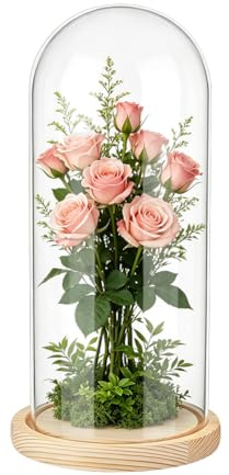 UNICRAFTALE Klare Glasglocke mit Biskuitbasis Handgefertigte Glasglocke Antike Sammlerstücke Deko Glockenglas für Sukkulenten Pflanzen Medaillen Fotos Lichterketten Tischdekoration 142x295mm