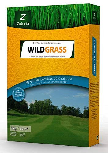 Semilla Césped Wildgrass - 1 Kg